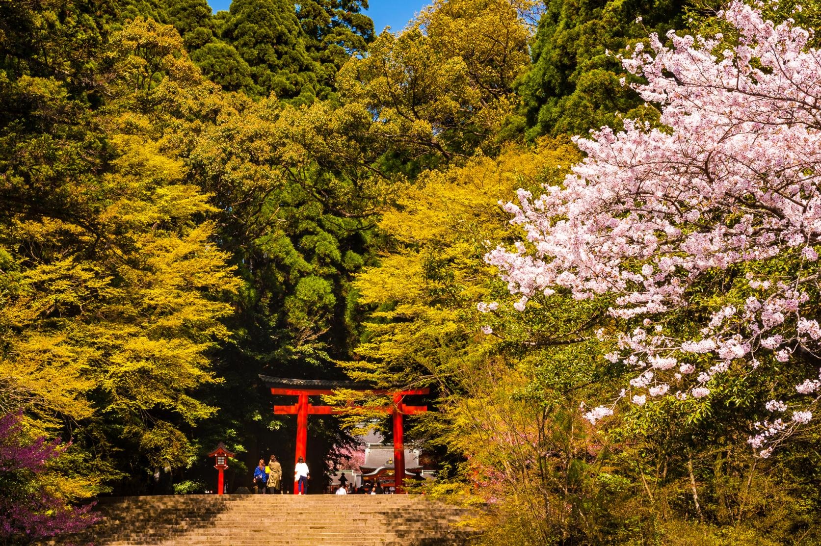 ⛩️ 키리시마 신궁 이미지 3